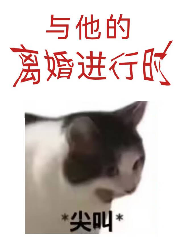 跟我在一起小说