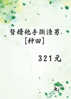 傻子赘婿电子书下载
