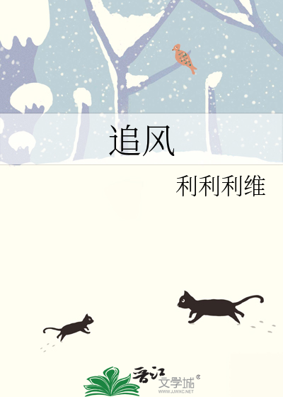 追风筝的人
