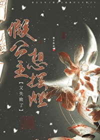 假公主案