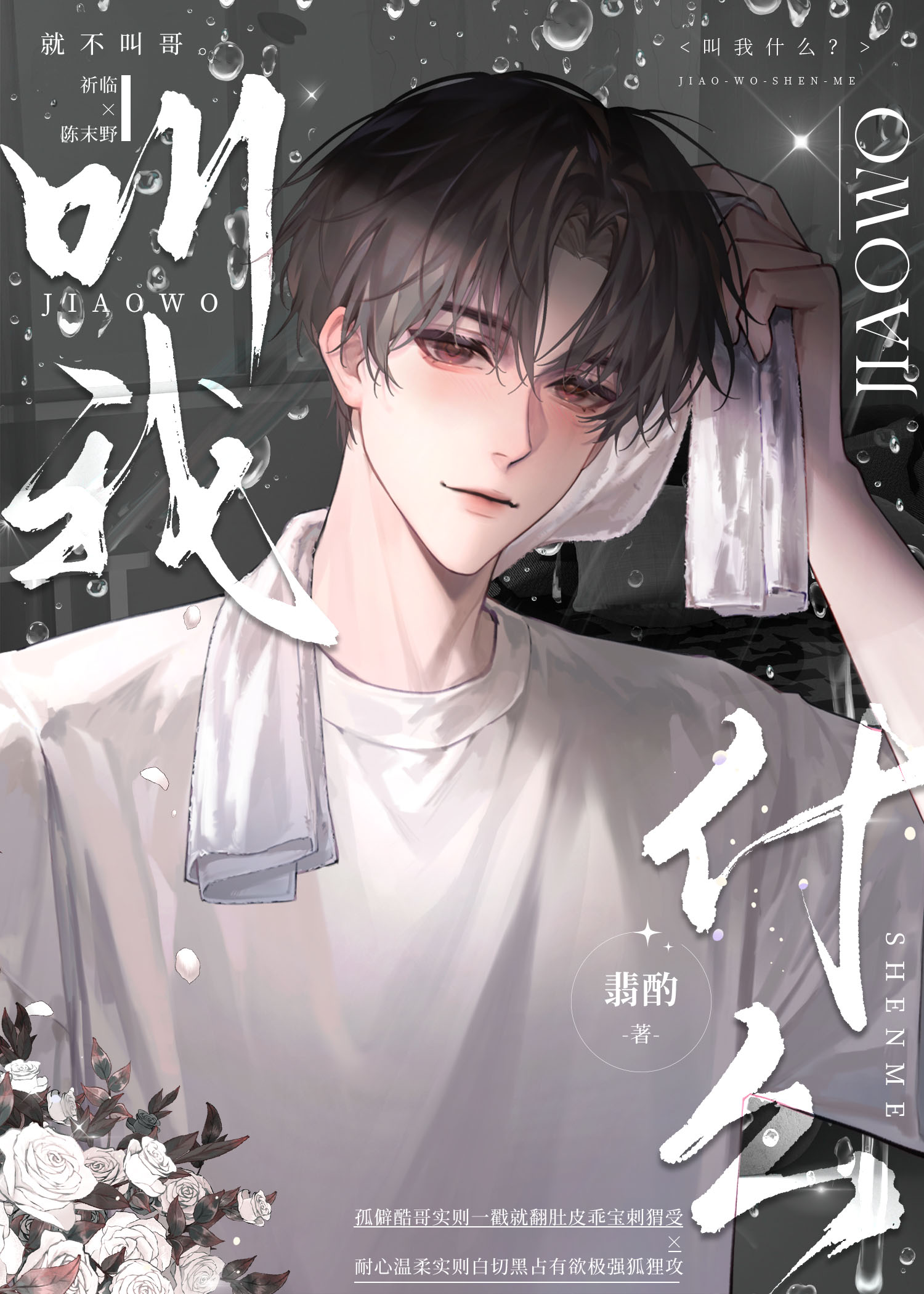 他又病又乖（女尊）