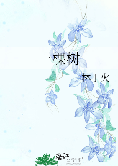 七彩追书