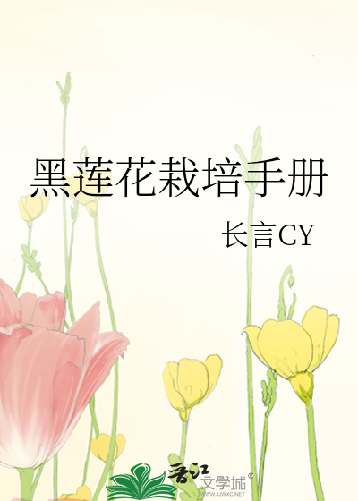 关于一个自爆系统