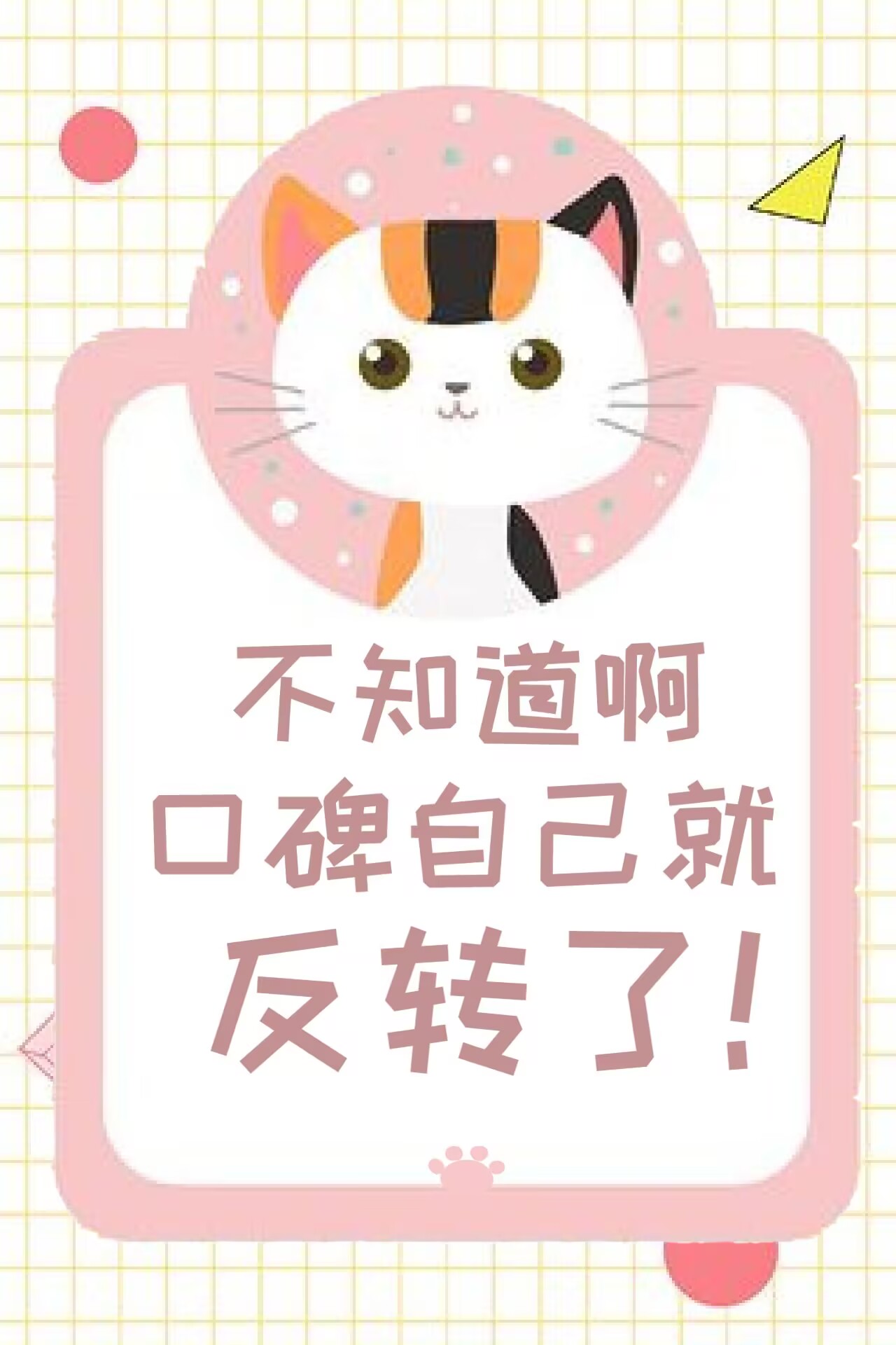 你是我的唯一选择