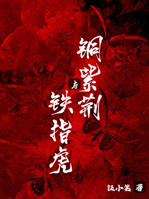 向南飞
